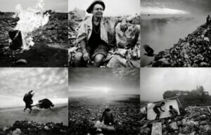 documentario brasileiro